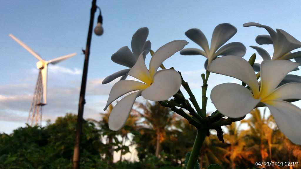 Rai Lung Tui Homestay Prachuap Khiri Khan Zewnętrze zdjęcie