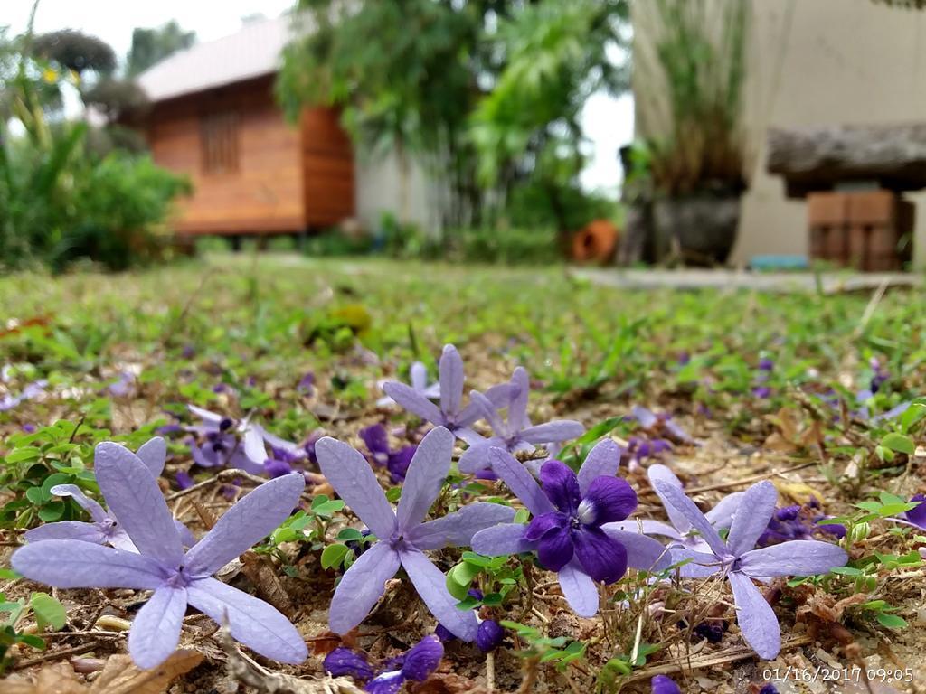 Rai Lung Tui Homestay Prachuap Khiri Khan Zewnętrze zdjęcie