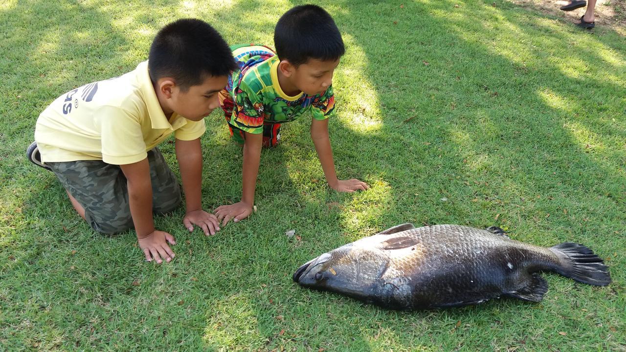 Rai Lung Tui Homestay Prachuap Khiri Khan Zewnętrze zdjęcie