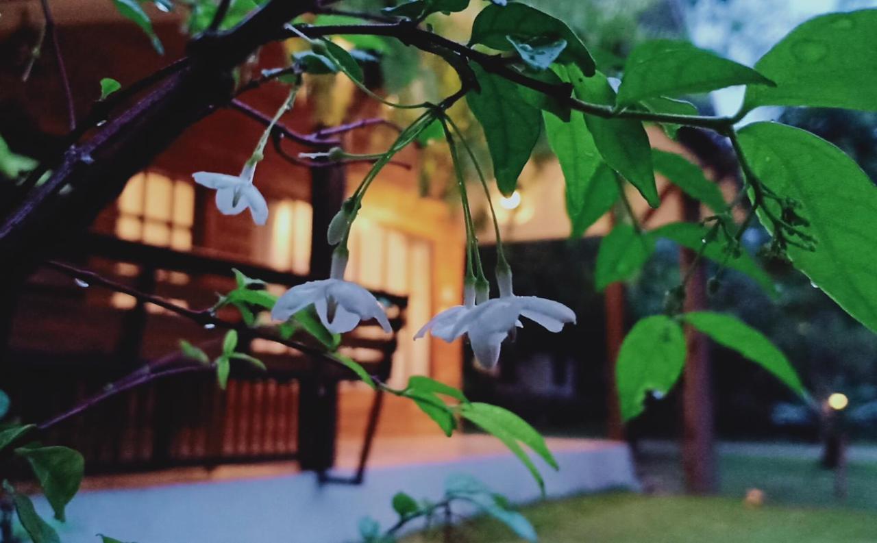 Rai Lung Tui Homestay Prachuap Khiri Khan Zewnętrze zdjęcie